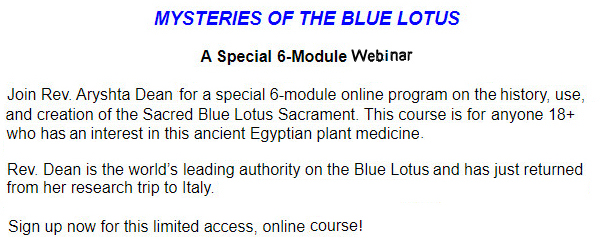 Blue Lotus Class web text